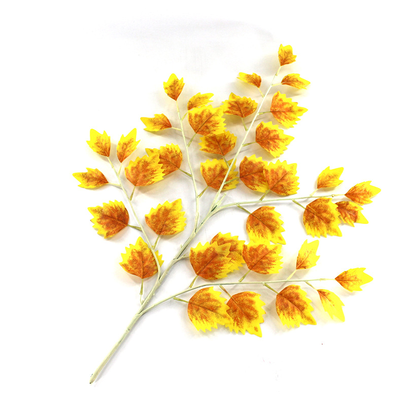 XRB-021 胡杨秋色.jpg