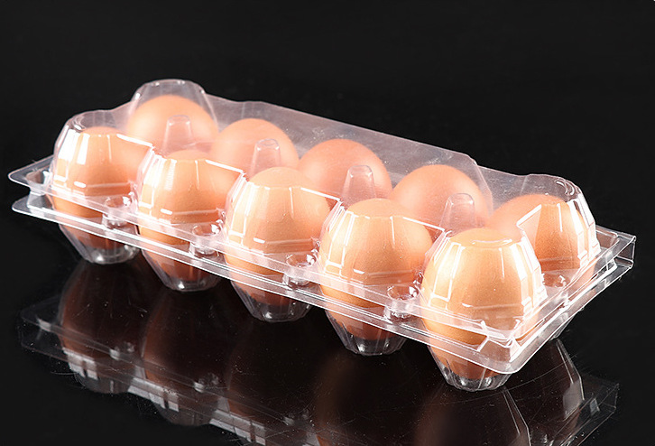 内托鸡蛋盒鸭蛋盒塑料盒10个装鸡蛋盒收纳盒防碎盒保鲜盒塑料盒