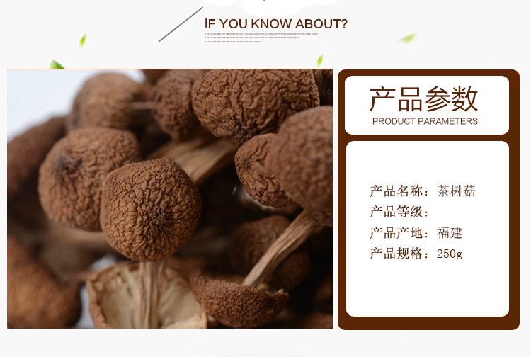 9181298500_1519348481