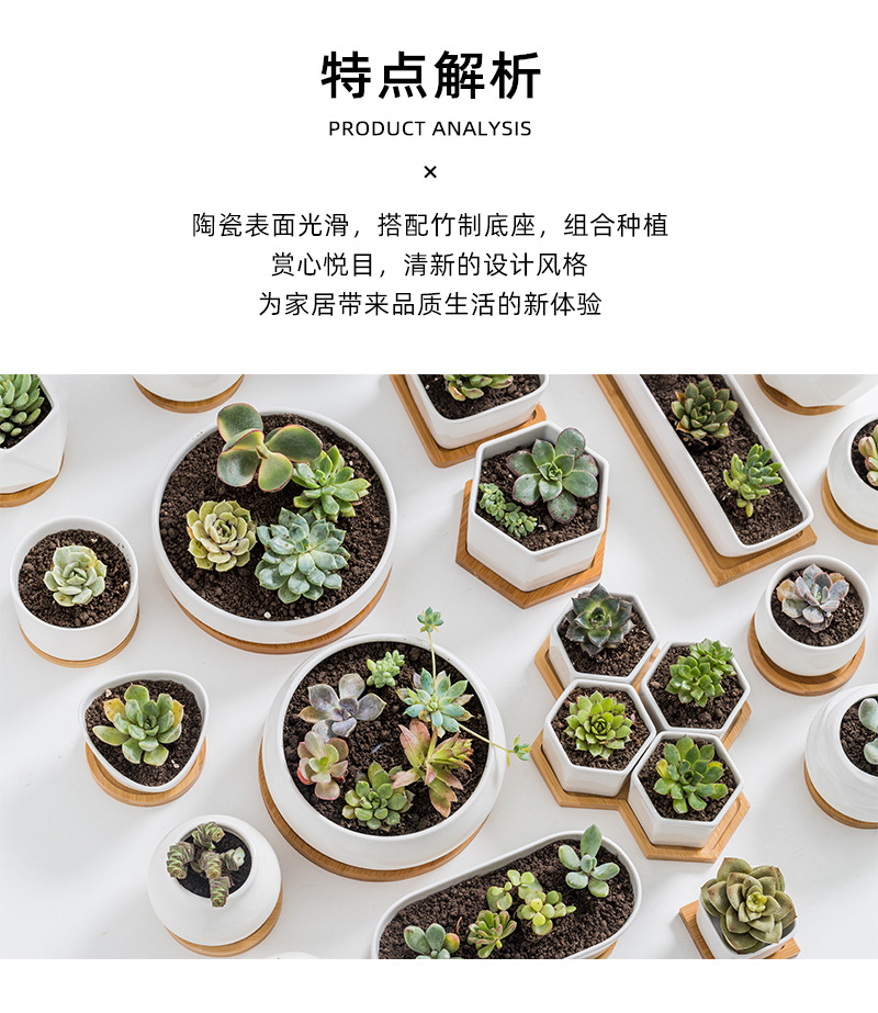 多肉种植盆_02.jpg