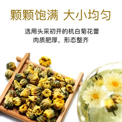 胎菊罐裝50g胎菊王桐鄉胎菊菊米貢菊黃山菊花茶組合茶花茶批發
