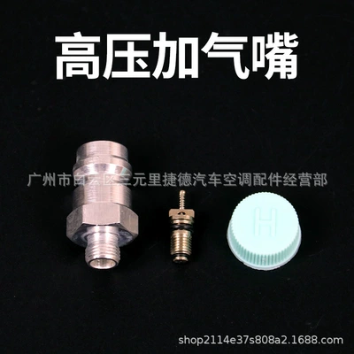 Universal high and low pressure r134a cold air pipe fluoridation nozzle automobile air conditioning pipeline refrigerant filling valve M10 * 1 (Automotive air conditioning) - high-pressure-with-core-and-cover-with-rubber-ring