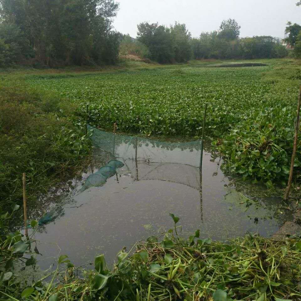 微信图片_20200712182939