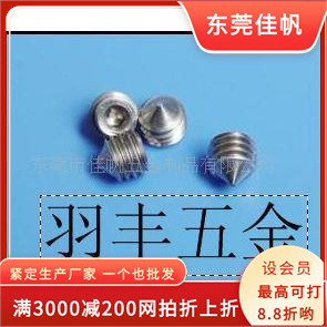 供应无头内六角紧定螺丝钉，不锈钢尖头机米，东莞佳帆机米