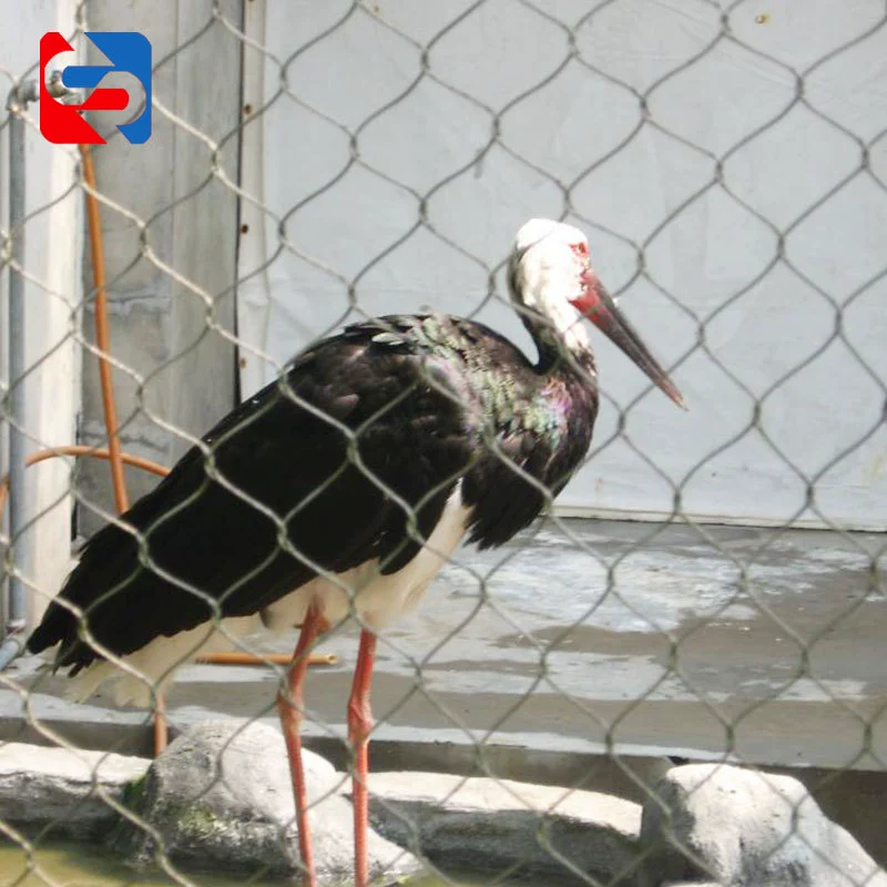 [Bird Garden Network] оптовая веревочная сеть птичий язык лесной птица садовая сеть производство можно настроить нержавеющая сталь клетка птичий сад сеть
