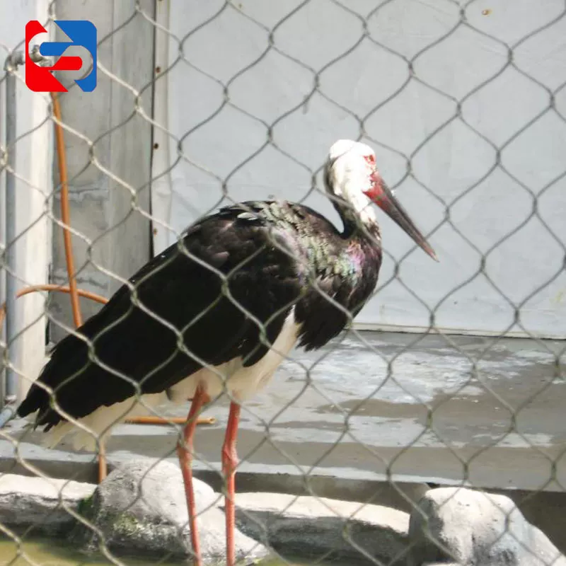 [Bird Garden Network] оптовая веревочная сеть птичий язык лесной птица садовая сеть производство можно настроить нержавеющая сталь клетка птичий сад сеть