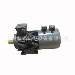 ���T��늙C18.5KW׃�l�ƄӸ�ЧIE2 2����Ч���ཻ���͉��T�F4��