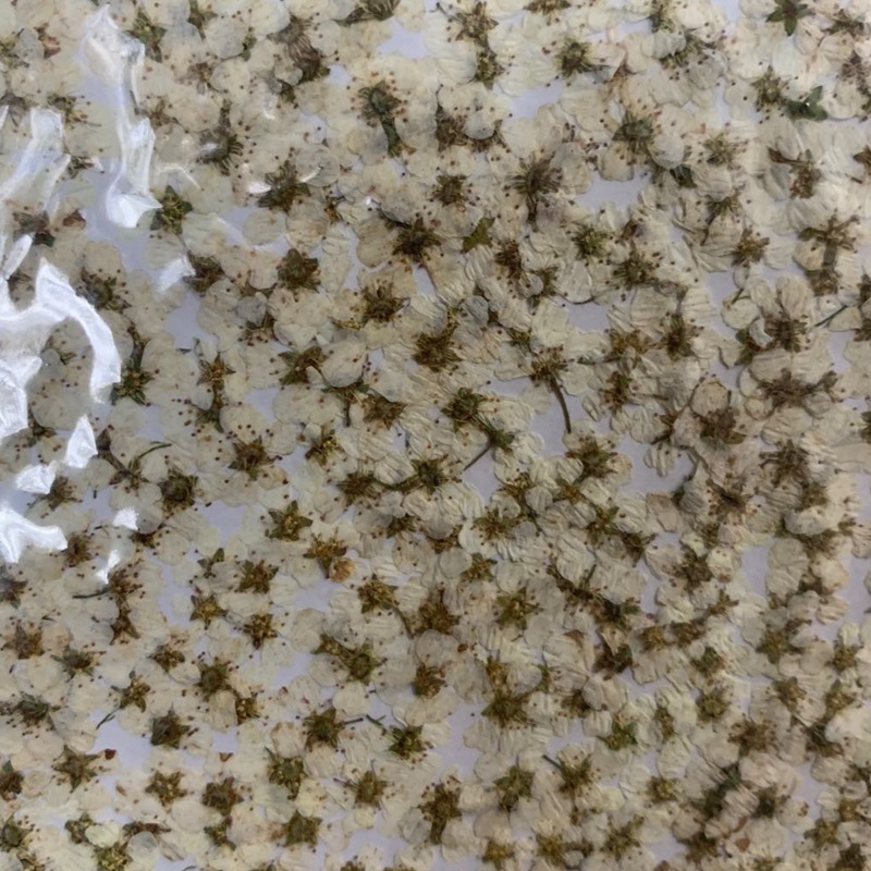 微信图片_20200415230710