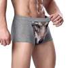 3D personalized printed men's underwear mid -waist young wolf head eagle head Modal's male flats corner trousers