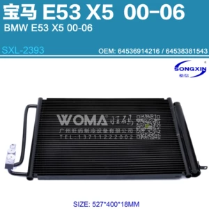 BMW X5 E53 avtomobil kondisioner kondenseri soyuducu şəbəkə OEM64536914216