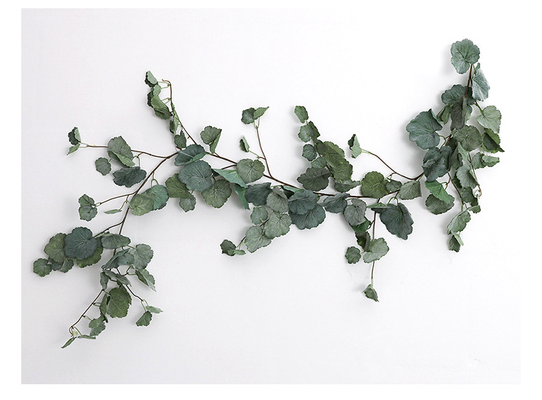 常春藤大链接详情-兰韵_10