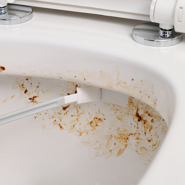 Disposable toilet