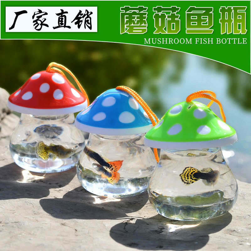 带气孔蘑菇鱼瓶qq龟瓶qq鱼缸乌龟瓶迷你鱼缸手提塑料小鱼缸特价