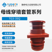 高压穿墙套管TG1 TG2 TG3 TG4环氧树脂环网柜内用10KV-35KV