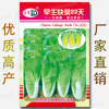 23 days of early birth of fast vegetable seeds about 1600 grains of four seasons of precocious Chinese cabbage Huangxin Taiwan small cabbage seeds