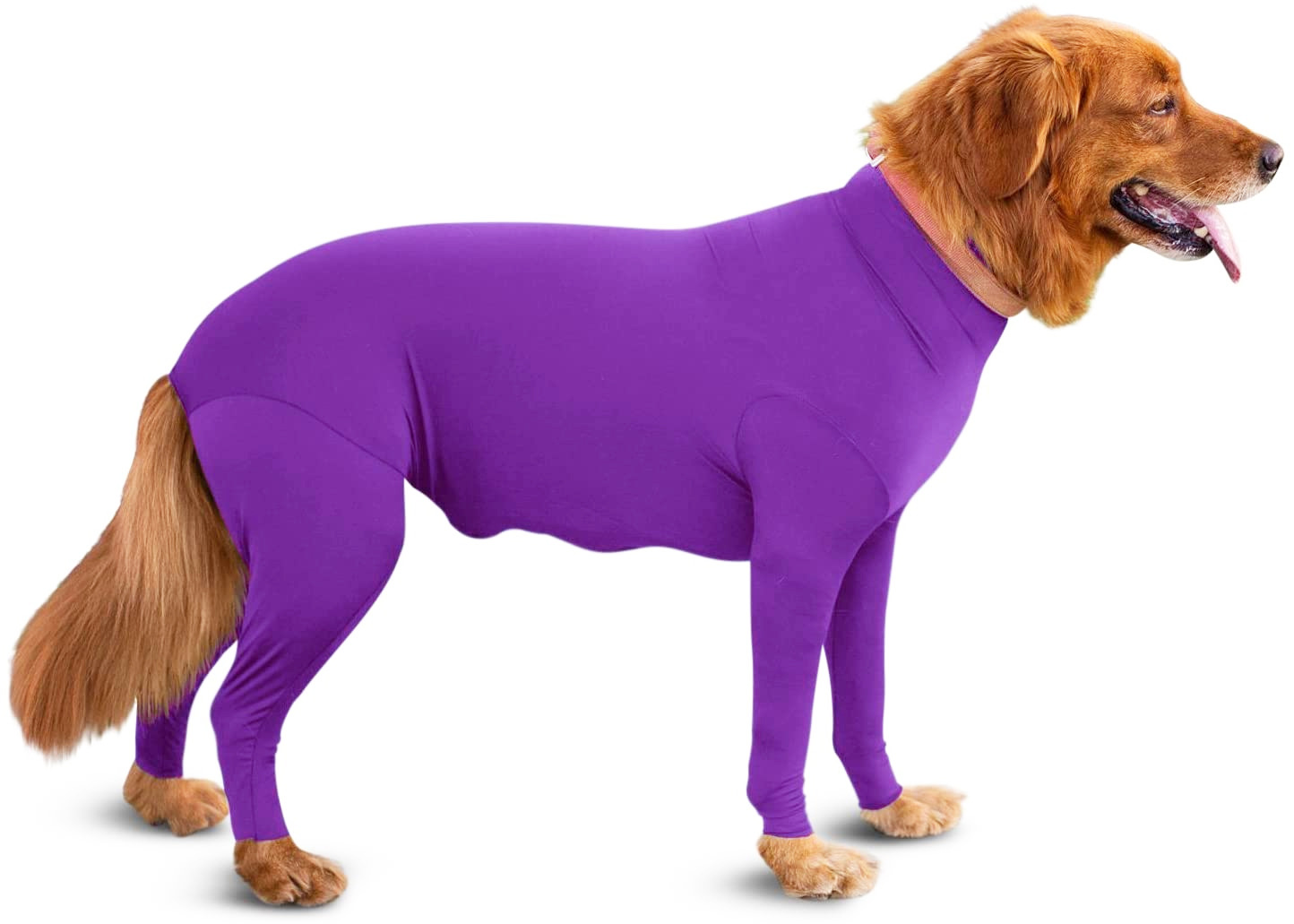 Casual Polyester Solid Color Pet Clothing display picture 7