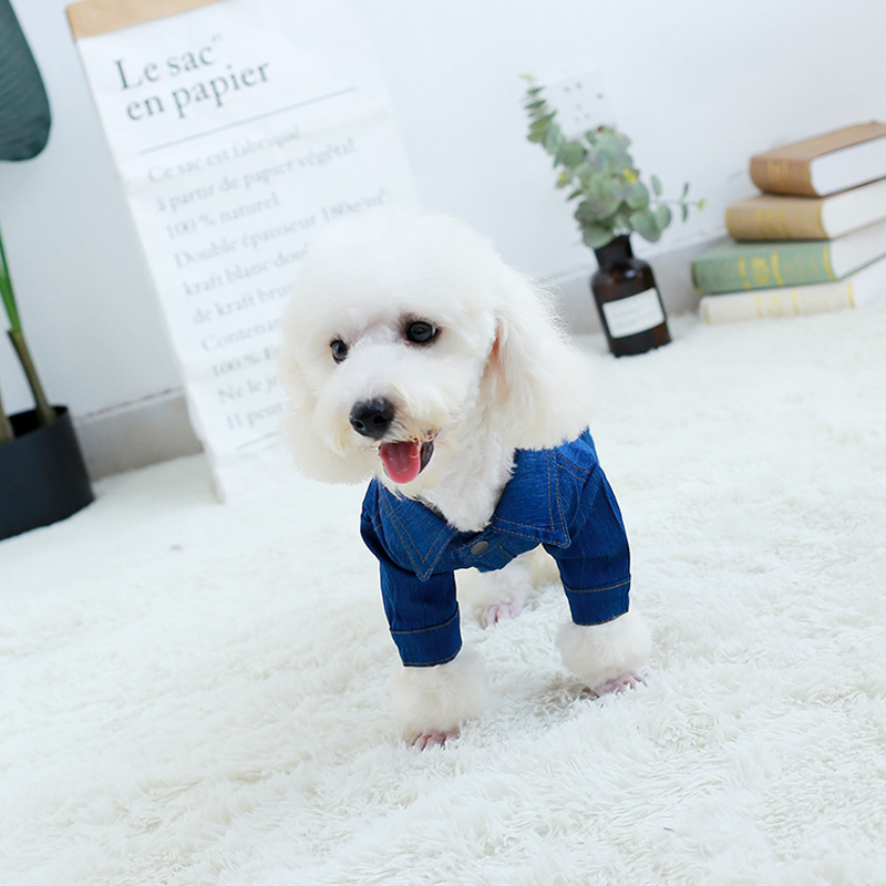 (2개) 가을과 겨울을위한 애완 동물 데님 점프 수트 슈퍼 대형 탄성 캐주얼 홈 의류