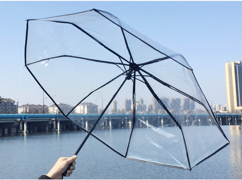 10872675841_2119238038