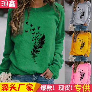 Amazon eBay wish AliExpress independent station feather fun pattern printed long sleeve round neck sweater
