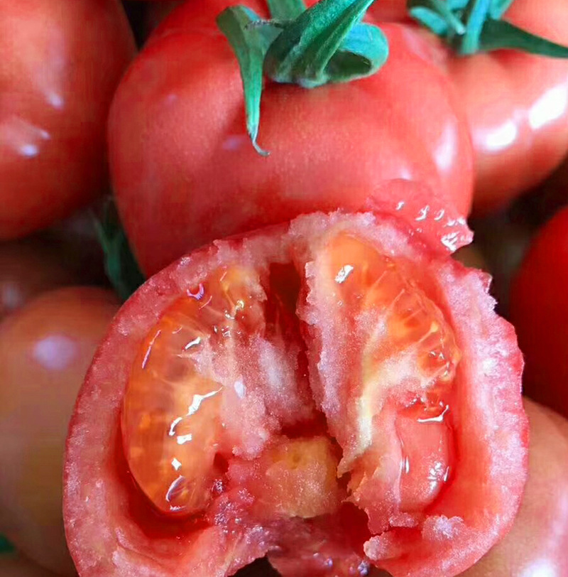 现摘陕西普罗旺斯西红柿 5斤自然熟沙瓤水果西红柿番茄新鲜当季果|ms