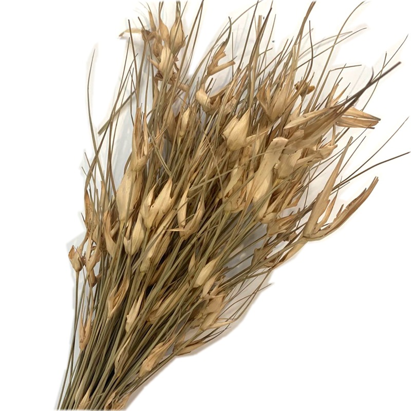 微信图片_20200427122302