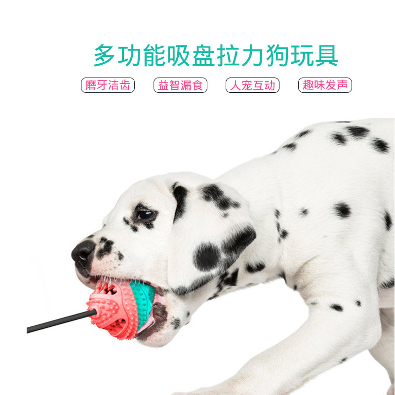 Amazon popular perro de juguete para mascotas molar de fugas de alimentos mordedura de Bell bola interactiva lechón de goma Bola con cordón