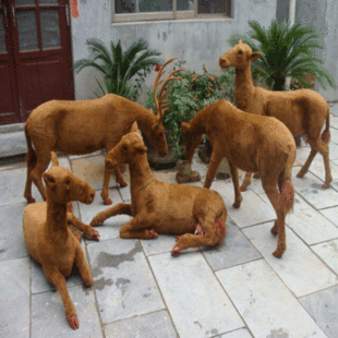 各種動物加工圖片 海量高清各種動物加工圖片大全 阿里巴巴