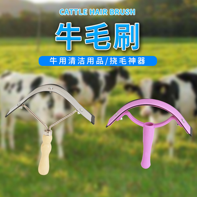 Бык и скрещивание для волос с расчесыванием для очистки уборки и лошади для очистки для очистки лошадей для очистки лошадиных поставки лошадей.