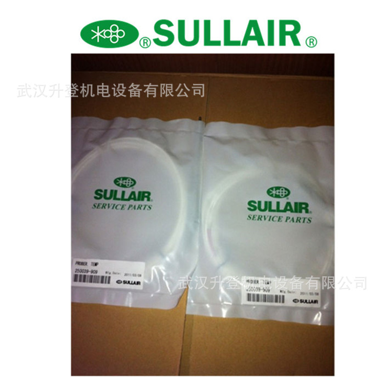 寿力温度传感器250039-909 空压机温度探头