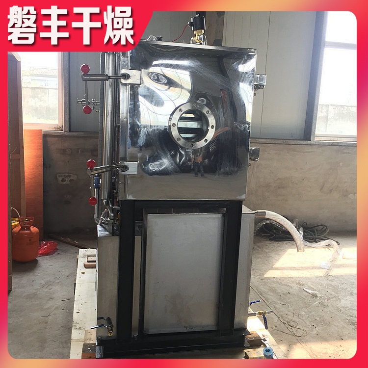 磐丰制作 柠檬片冻干设备 食品冻干机 大型果蔬冷冻真空干燥机