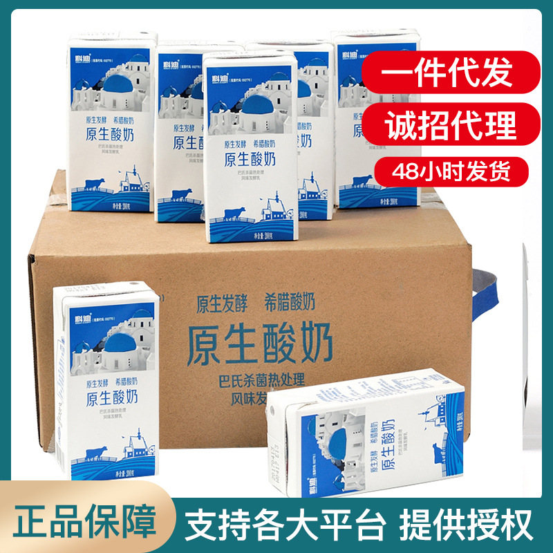 科迪原生酸奶216g 乳酸菌益生菌濃縮原味兒童熟酸奶壹件代發
