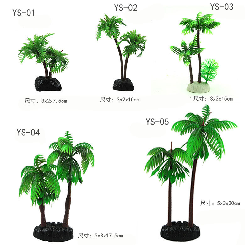 Coconut tree