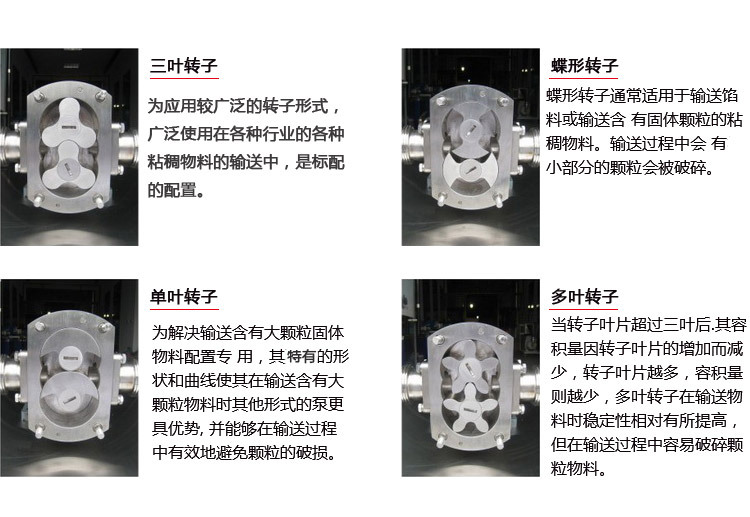 百力仕转子泵新 (4)