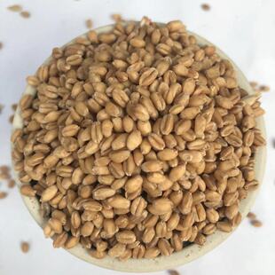 �S�ҹ��� С�� С����Ƥ ֲ�������ԭ������ ������� ����r��