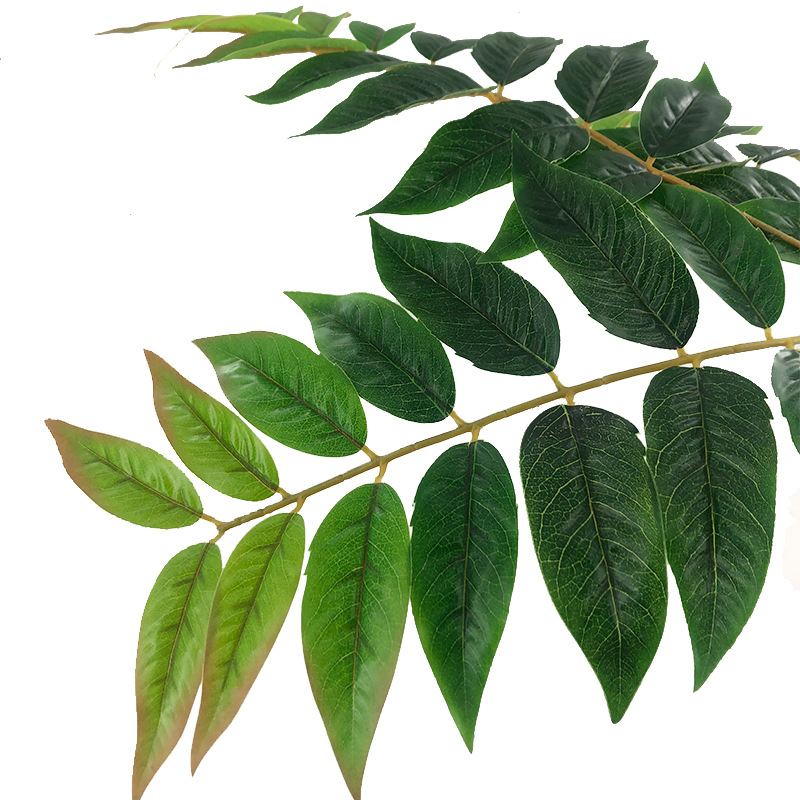 XRB-151天堂叶三叉枝 (3).jpg