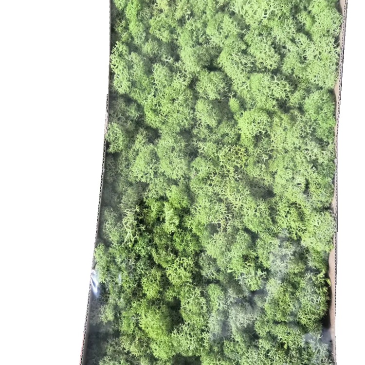 微信图片_20200321235751_副本