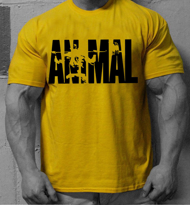 速卖通EBAY爆款欧美潮牌运动健身短袖夏季户外休闲宽松多色T恤|ms