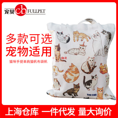 Strong 12 Cotton Canvas bag