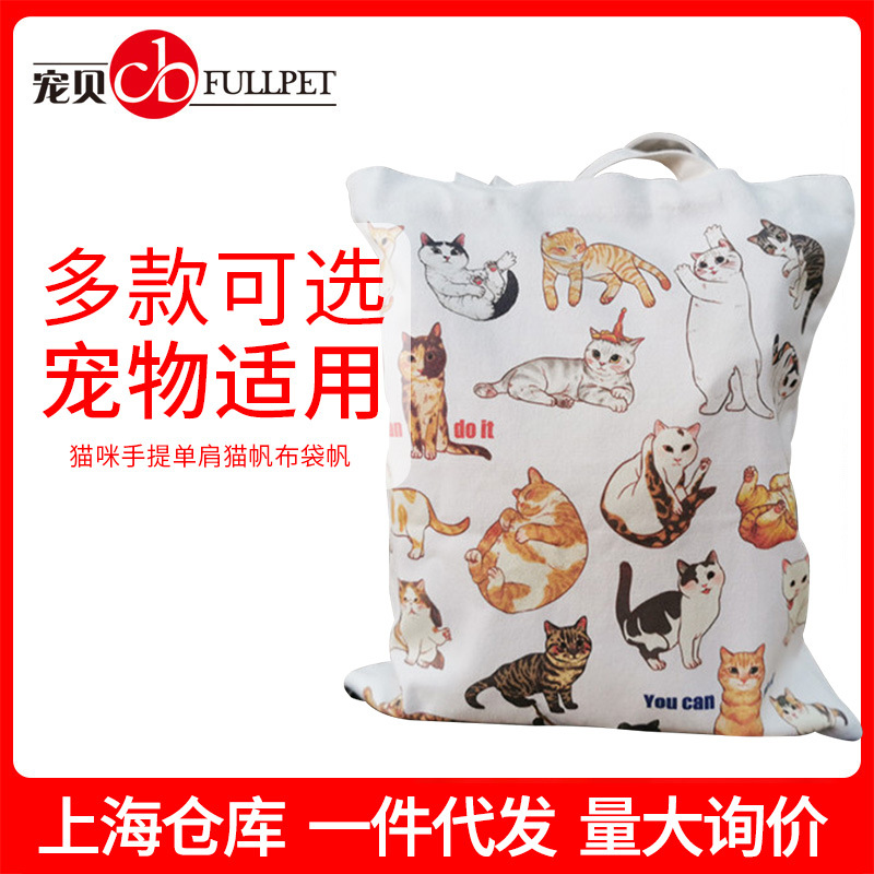 Strong 12 Cotton Canvas bag