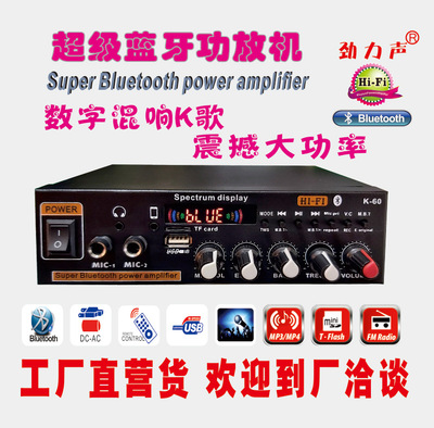 迷你小型功放机音箱功率放大插卡U盘收音直流12V220V蓝牙K歌功放|ms