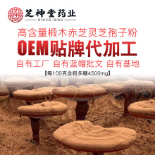 破壁灵芝孢子粉贴牌加工 金寨灵芝破壁孢子粉代工 备案制原料供应
