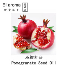 ���R����ȡʯ������  Ӣ���M�ڷ���ֲ���� �̝����� 1KG��ӆ