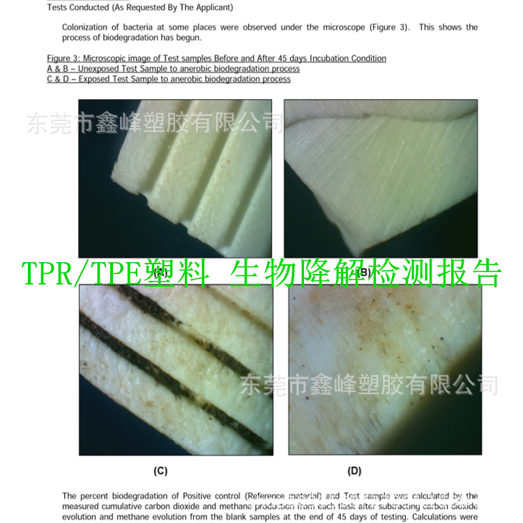 TPR生物降解检测报告