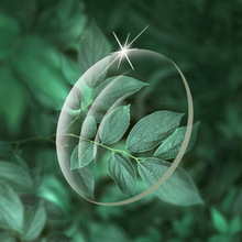 1.56 ׃ɫ�RƬ������o������׃��׃���RƬ��Ӳ��Ĥ��֬�RƬ���l