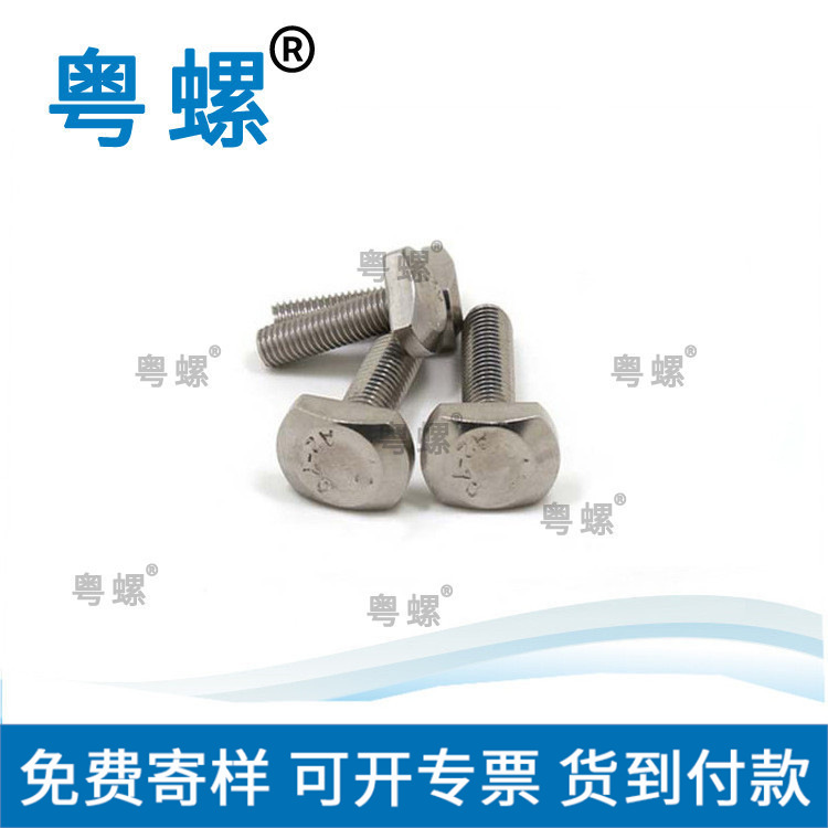   供应 不锈钢T形螺栓 加工 优惠价直销