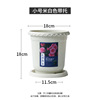 Plastic resin, breathable flowerpot for growing plants, increased thickness, roses