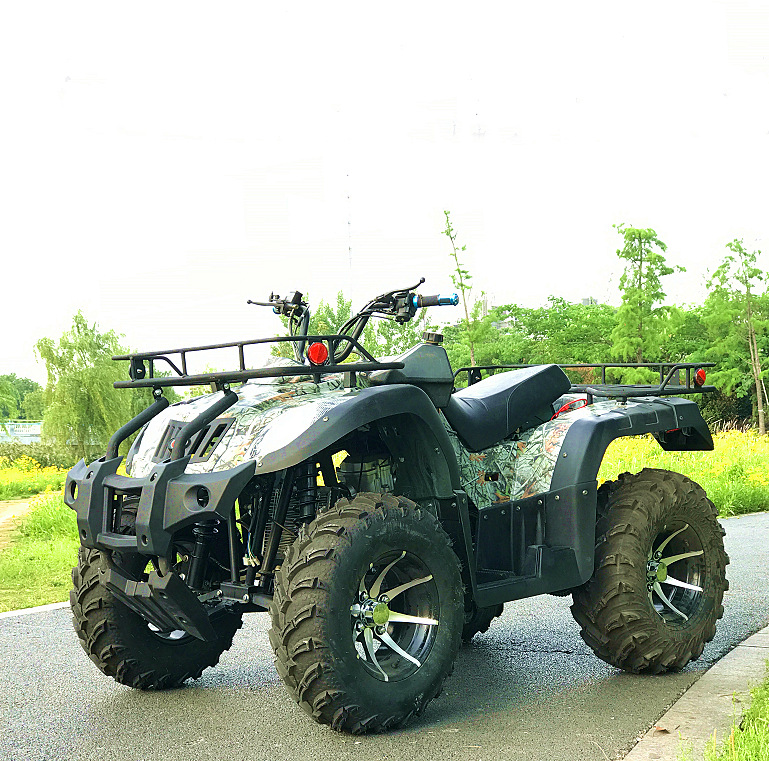 Factory direct selling 250cc large beach car farmer vehicle electric…