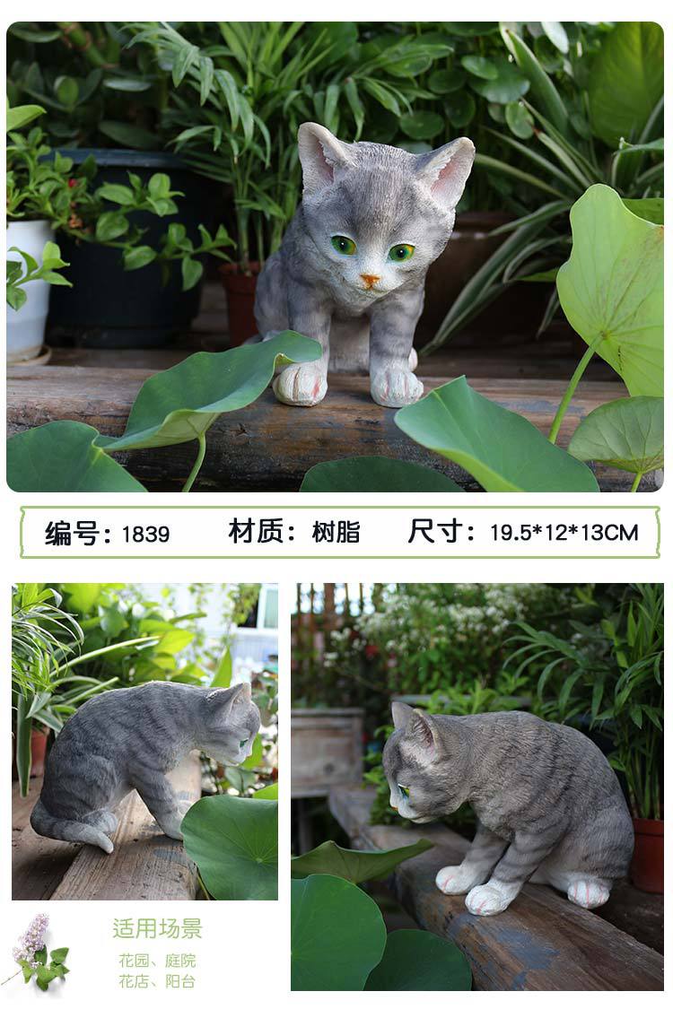 猫咪_06.jpg
