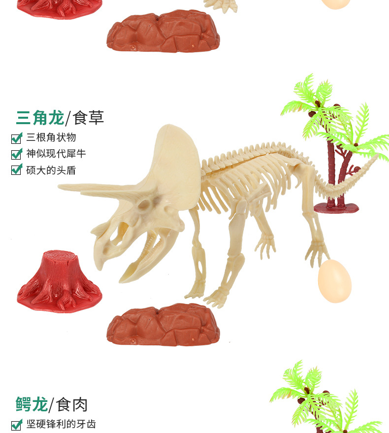 恐龙化石_06.jpg