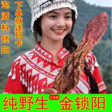 i500 ɎiƬˮșiݾșشݾƴ